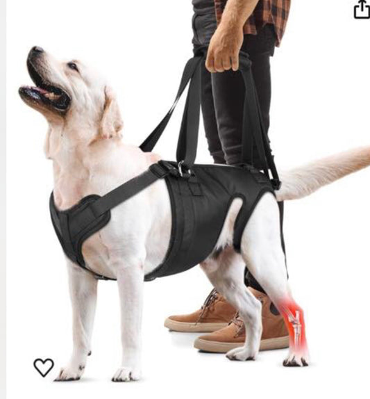 Harnais de soutien pour chien blessé ou en convalescence – Taille universelle ajustable